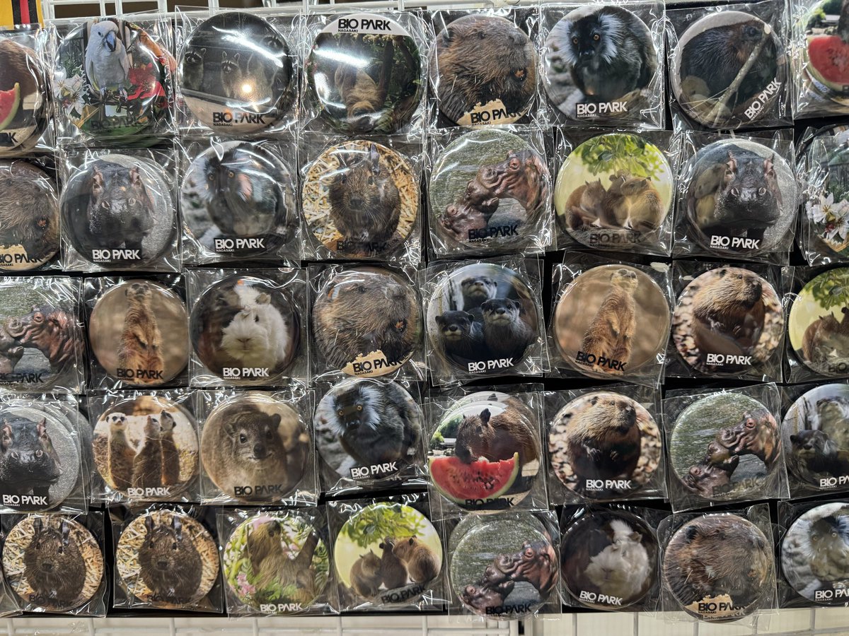 otter_Rascal tweet picture