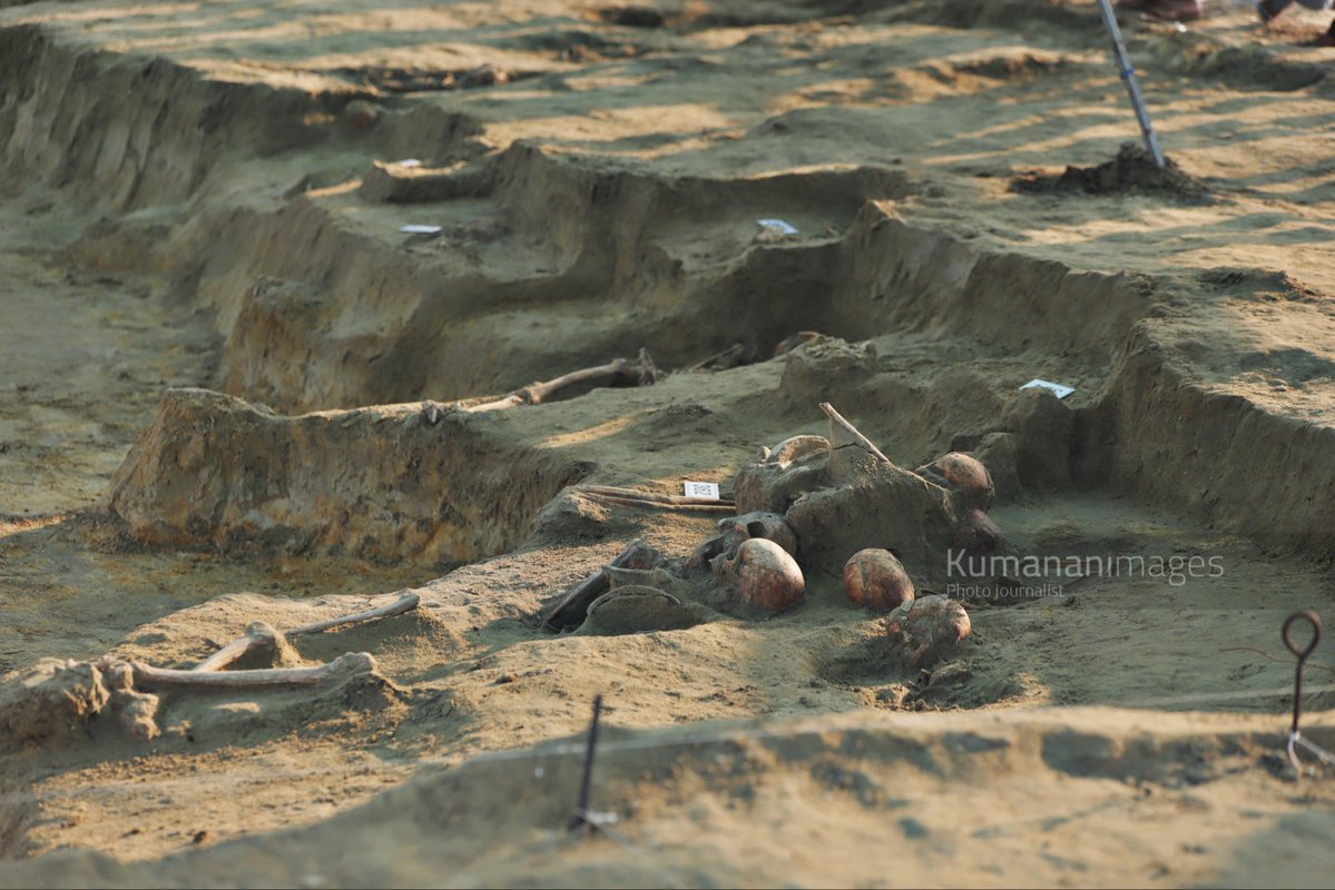 kumanan93's tweet photo. Chemmani Mass Grave Excavation – Phase 3, Day 29

Today, 7 additional human skeletons were cleaned and identified at the Chemmani mass grave excavation site.

With these latest findings, a total of 394 human skeletons have been identified across all three phases of the excavation, while 370 human skeletons have been fully exhumed.

Today’s excavation was carried out by Prof. Raj Somadeva and his archaeological team under the supervision of Jaffna Magistrate S. Lenin Kumar.

#ChemmaniMassGrave