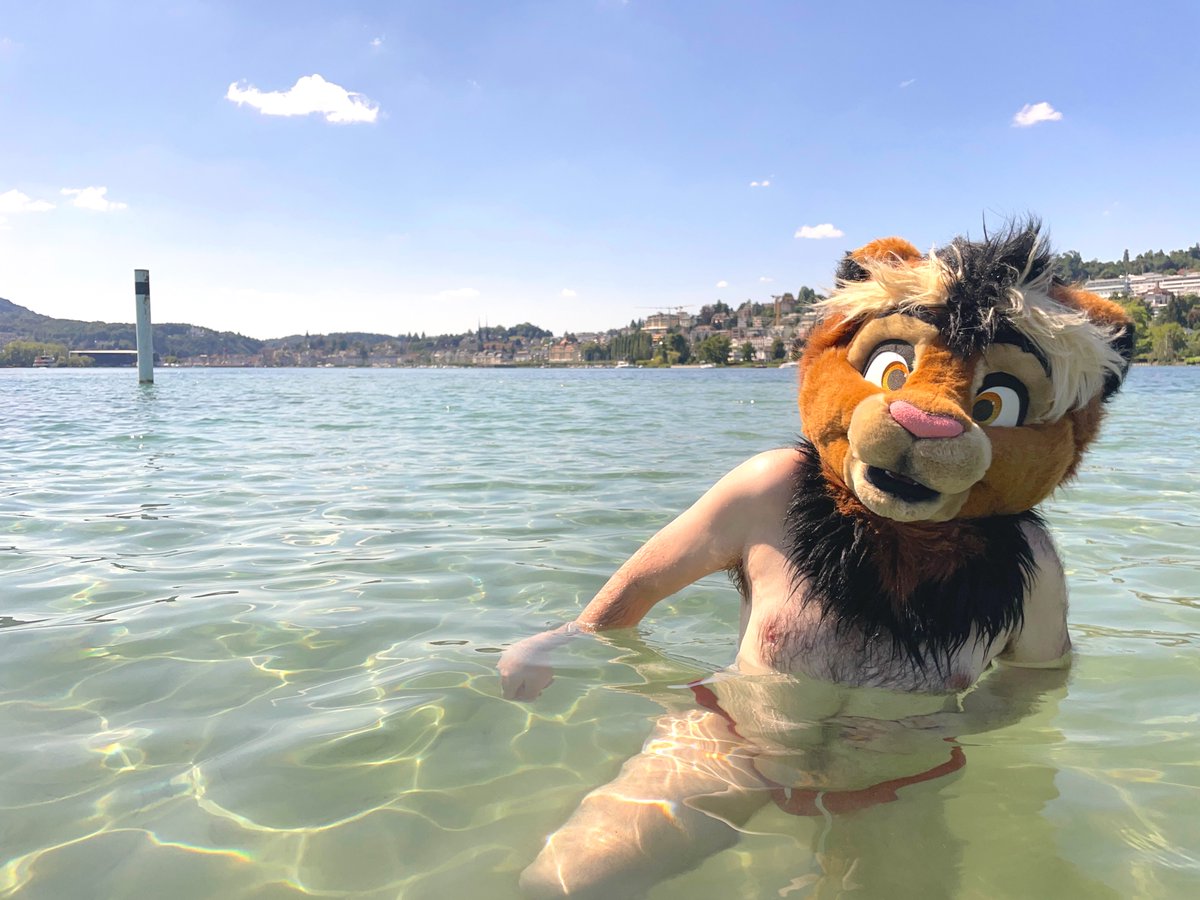 Kitwana @ Anthrocon tweet media