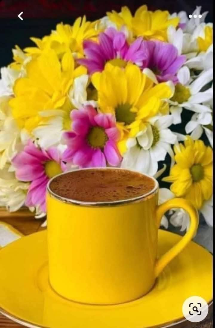 SMaher28's tweet photo. @AliAlAboda7 https://t.co/K0rxiQHLpr