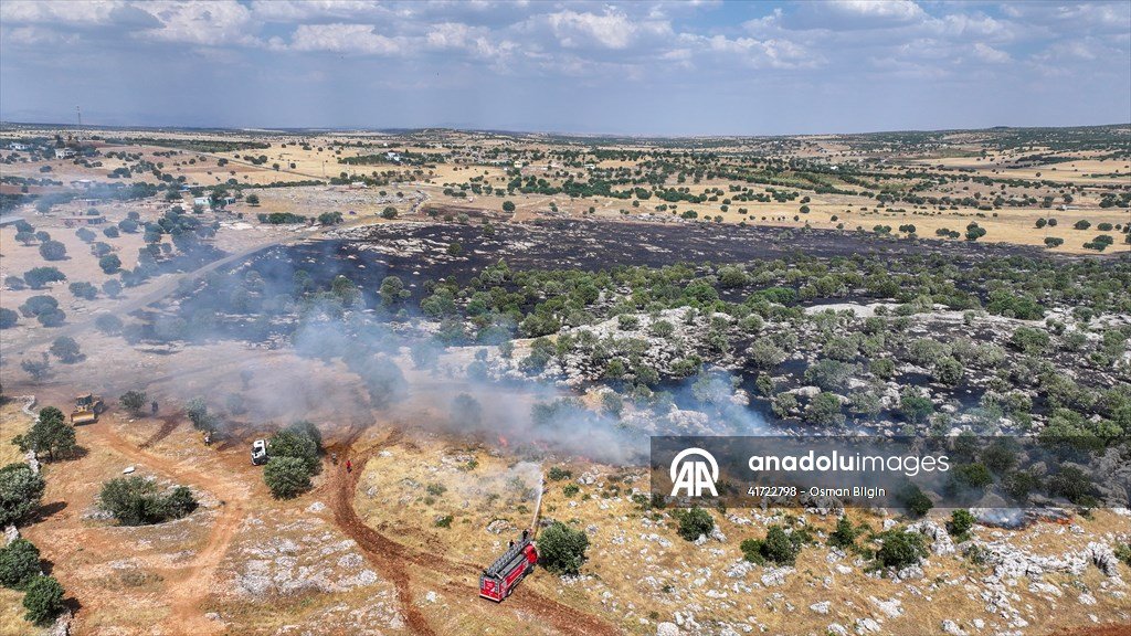 osmnblgn1's tweet photo. Diyarbakır'ın Eğil ilçesi kırsalında çıkan örtü yangını ekiplerin müdahalesiyle söndürüldü. https://t.co/5DRc4wtJBF