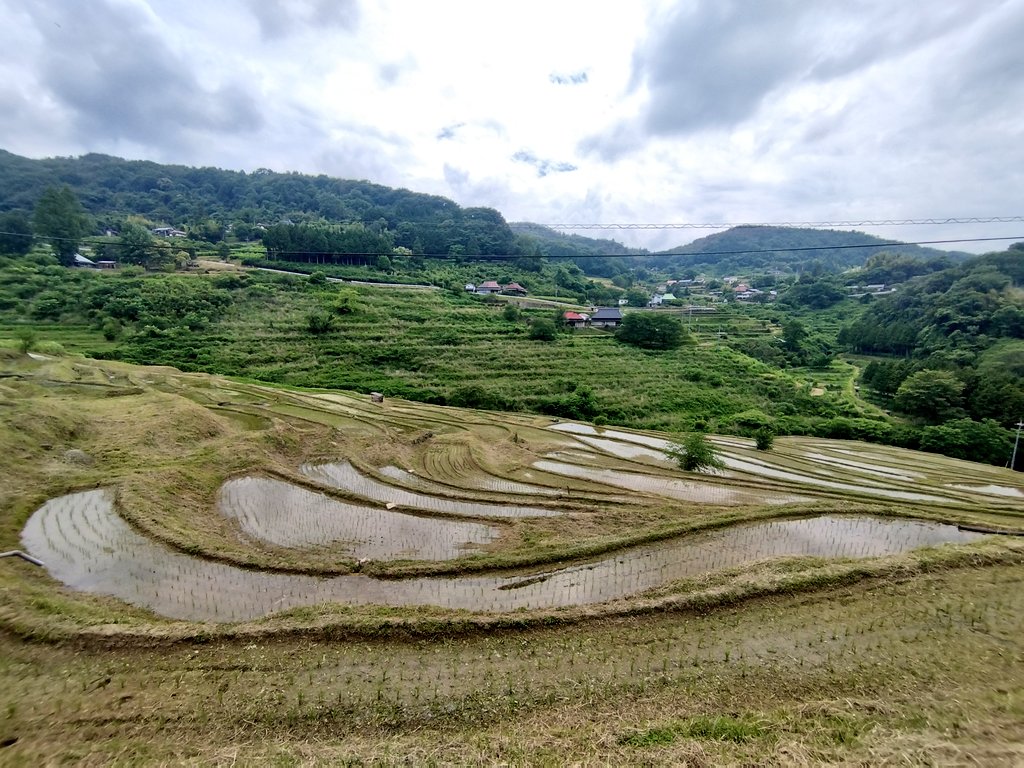 hiruchan_ch's tweet photo. 岡山県上山の棚田で生物調査。
受け継がれる風景。
#岡山県 #ヒルもいる風景
#BiotopGuild https://t.co/nT6TZs28z9