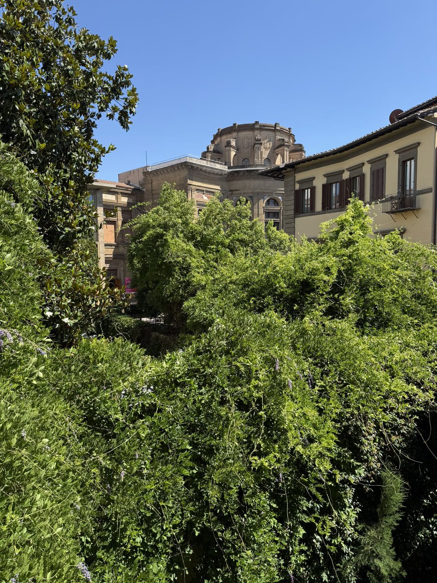 teodorio's tweet photo. Back to my favorite apartment in the world in Florence https://t.co/rGXUkNRDJ1