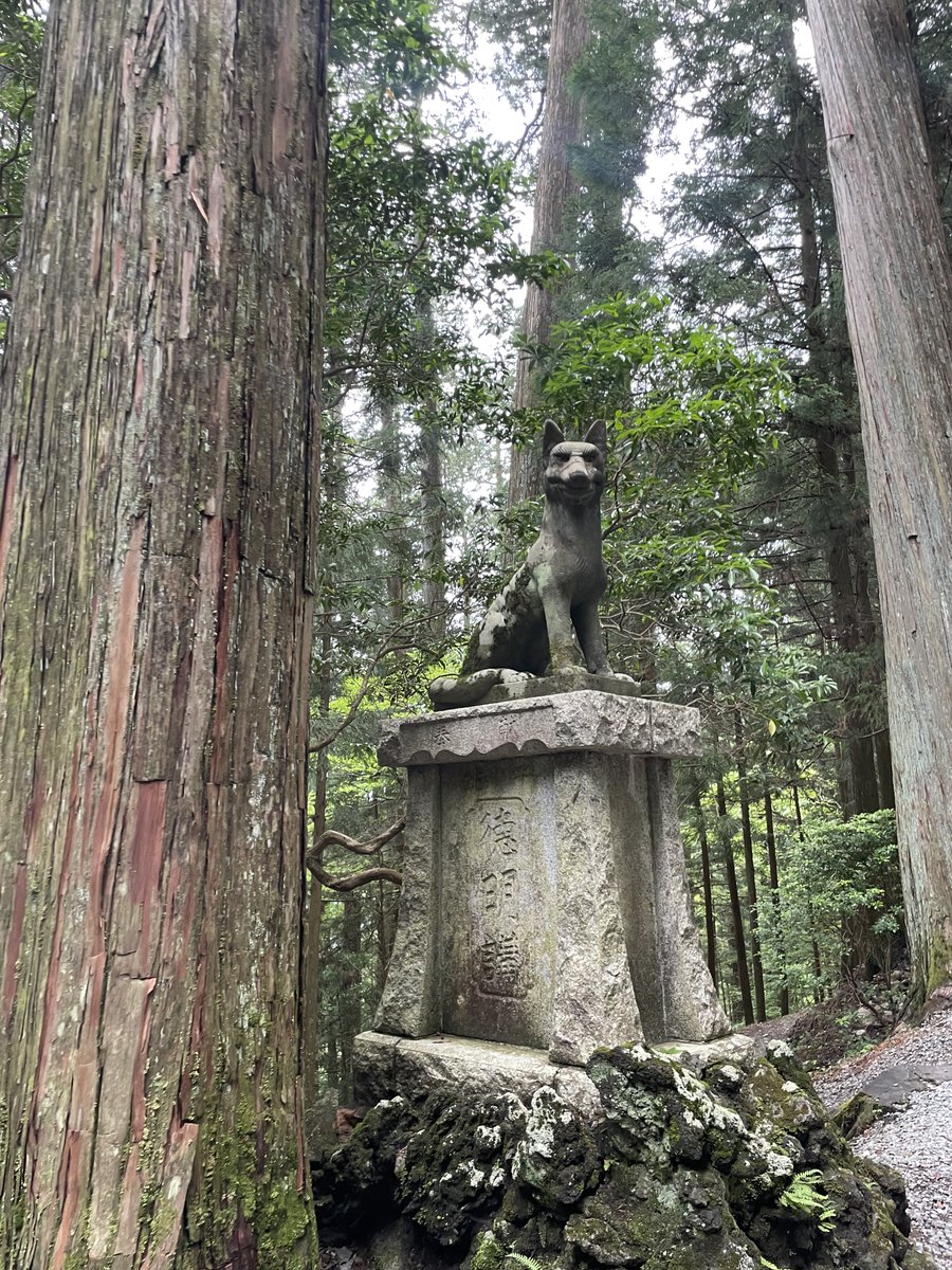 kaosuke3170's tweet photo. #三峯神社 https://t.co/MW0ShHj5ck