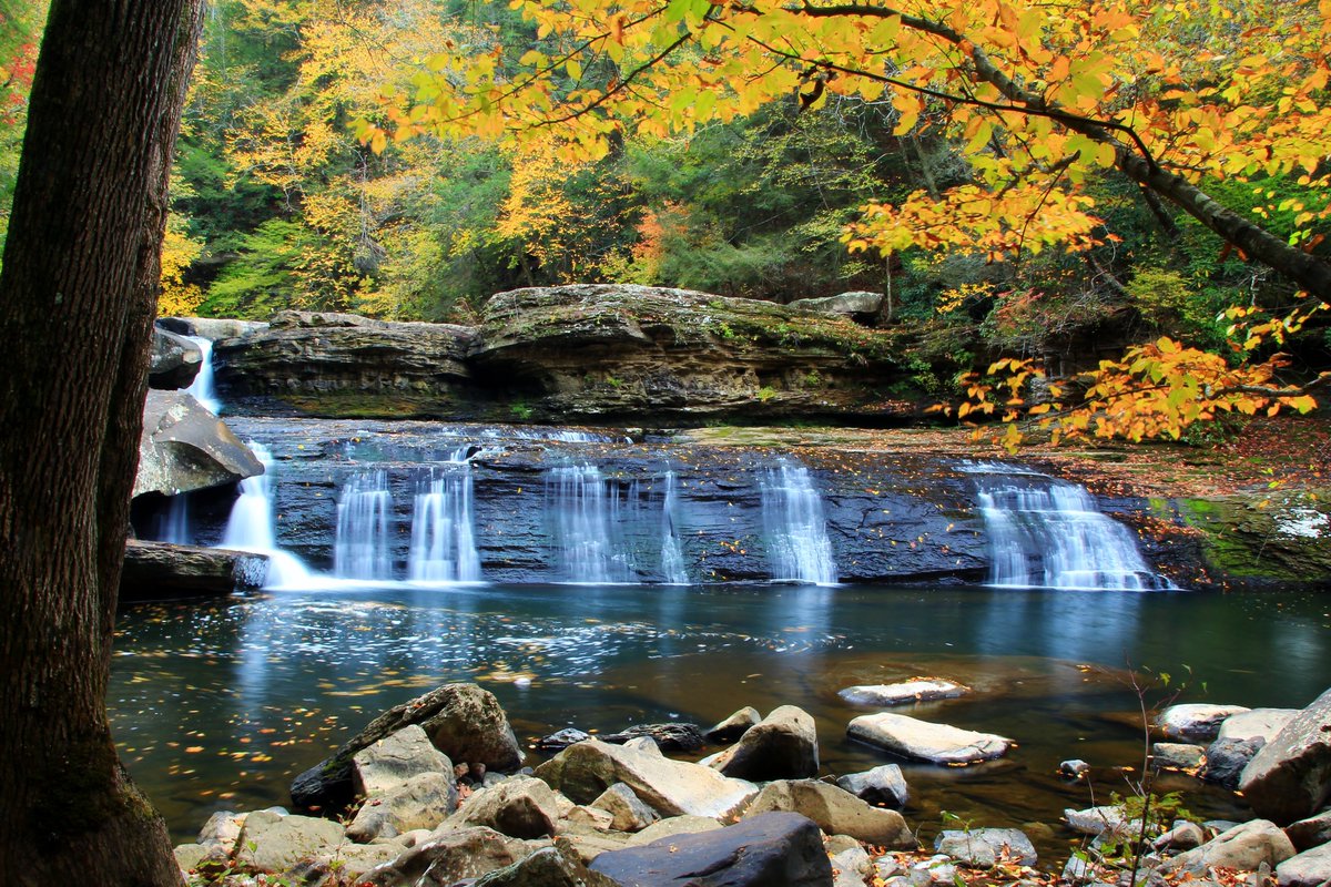 eteda's tweet photo. Summer is officially here, and there’s no better way to celebrate than by getting into the outdoors in #EastTN. Our region is known for the Great Smoky Mountains National Park, but there are so many other amazing places to discover. As you map out your summer, try discovering somewhere you may have never been, such as:

· Big South Fork National River & Recreation Area
· Big Ridge State Park
· Cherokee National Forest
· Cove Lake State Park
· Cumberland Trail State Park
· Fort Loudoun State Historic Park
· Frozen Head State Park
· Obed Wild & Scenic River
· Seven Islands State Birding Park

These are just a few of the many places you can find in #EastTN and be moved by the beauty around you!

#Summertime #EastTN #EastTNParks #GetOutdoors #MovingMountains