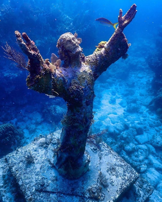 trad_west_'s tweet photo. This is a statue of Jesus Christ that is underwater. 

It's called 'Christ of the Abyss' and is located in San Fruttuoso, Italy https://t.co/0S5DiYx6Fa