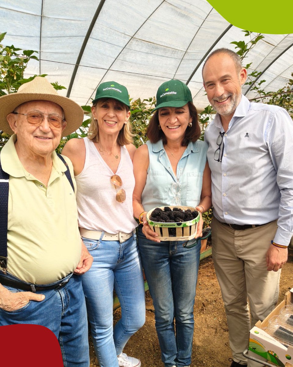 FruitAttraction's tweet photo. Getting out into the field is the best way to understand everything behind every piece of fruit that reaches the market.

During our visit to the @PlusBerries facilities and El Bosque farm, we had the opportunity to gain first-hand insight into a production model. https://t.co/SfVkXhPR2y