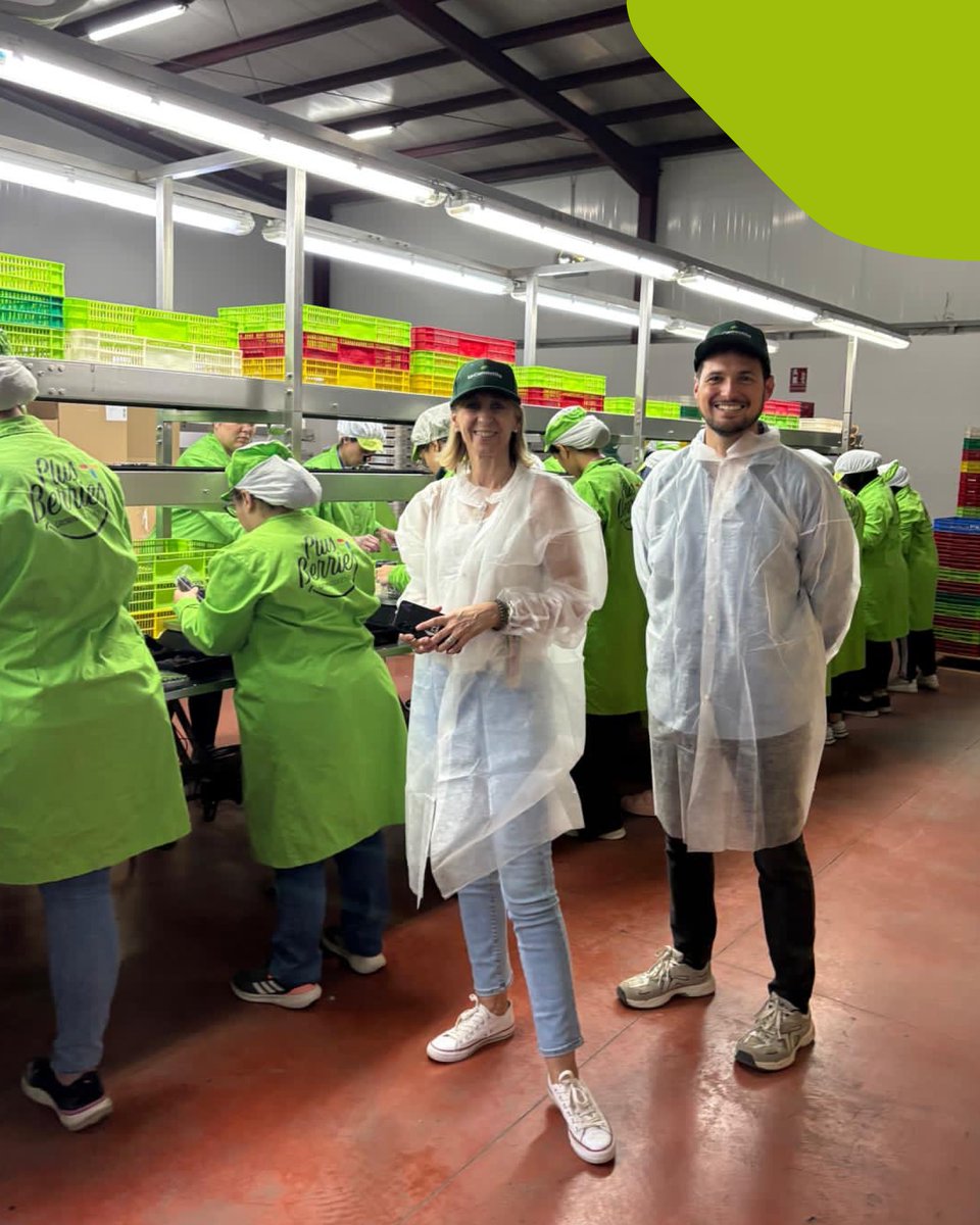 FruitAttraction's tweet photo. Conocer el sector sobre el terreno es la mejor forma de entender todo lo que hay detrás de cada fruta que llega al mercado.

Durante nuestra visita a las instalaciones de Plus Berries y a la finca El Bosque, tuvimos la oportunidad de descubrir de cerca su modelo de producción. https://t.co/LFXPPKprdP