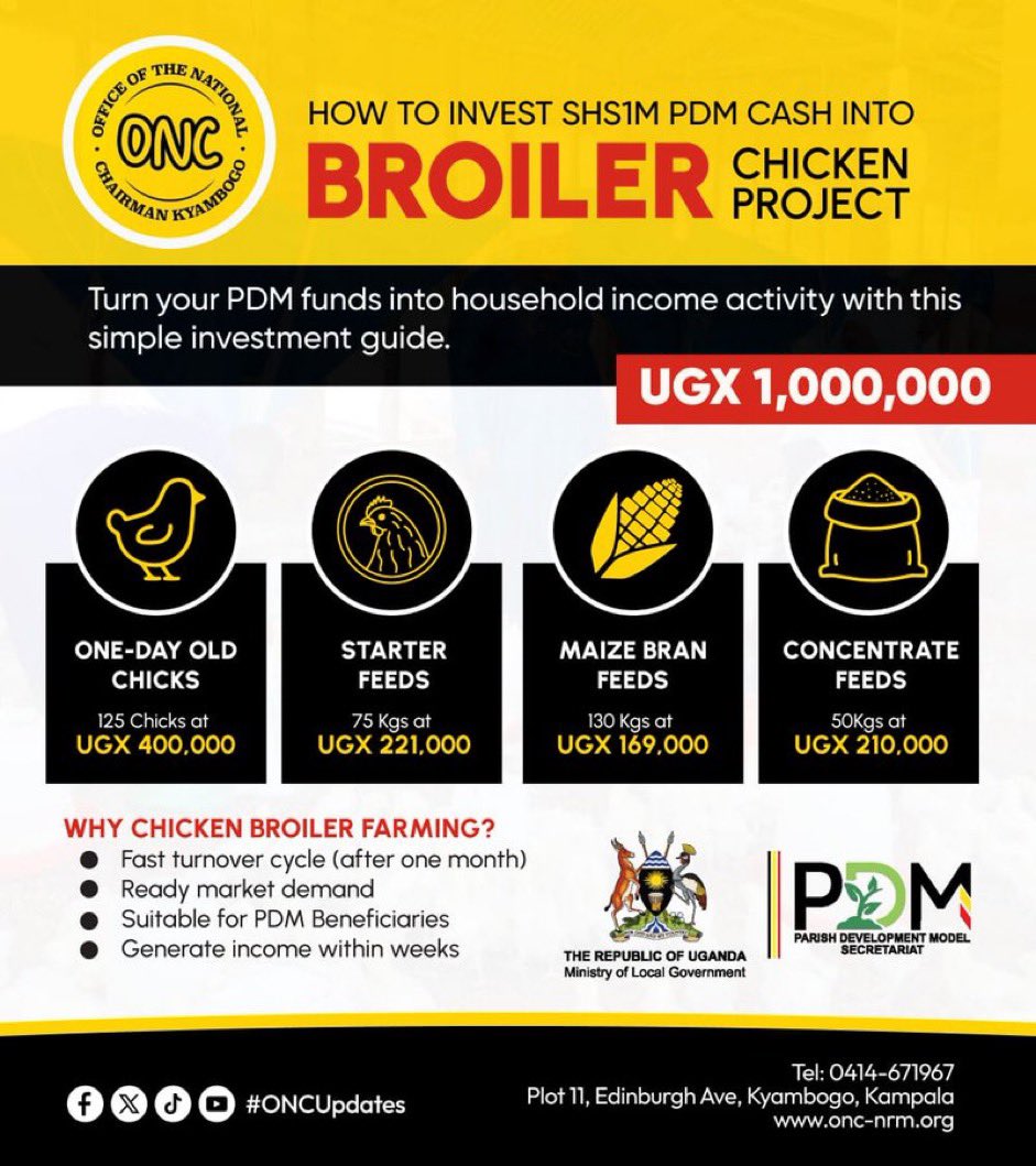 PatienceNamudd1's tweet photo. HOW TO INVEST UGX 1M PDM CASH 🐔 Into a profitable broiler chicken project: 125 one-day-old chicks, feeds and essential farm inputs. With proper management, turnover is fast and income is generated within weeks. A practical guide for PDM beneficiaries. #PDMWorks #ONCUpdates https://t.co/gIsFYDf8V4