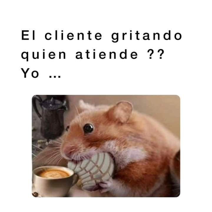 Yami18092004's tweet photo. Así algunos en este momento 😁 https://t.co/XOVTukGvcZ
