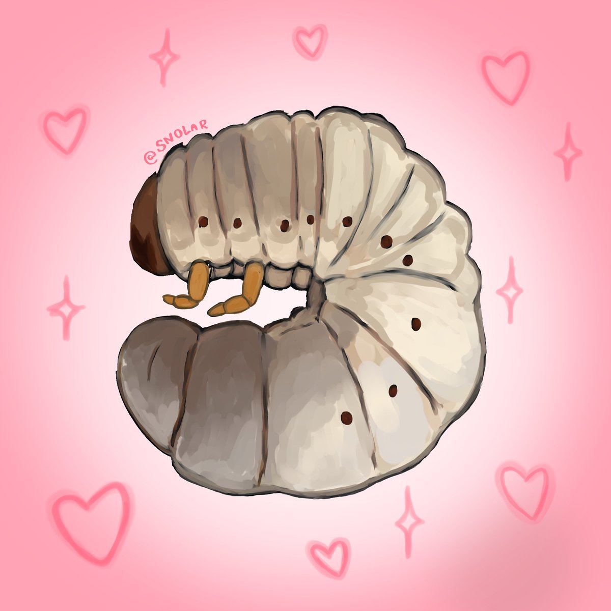 _snolar's tweet photo. Hello everybuggy, I drew a grub https://t.co/raFkOhpBQj