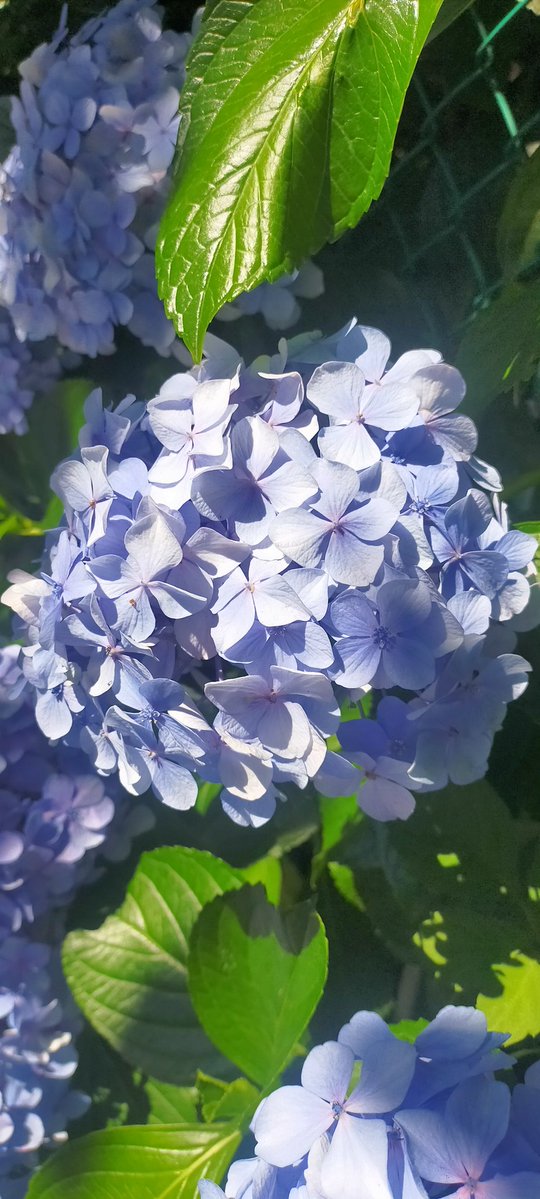 uchugohan28's tweet photo. #水たまりバンド
企画ライブを「水たまりのそと」と呼ぶ
馬野ミキの名曲掘り起こしユニットだった「山本恭子＋馬野ミキ」に翻訳者コニタンが加わることで、山本恭子の作品の掘り起こしもできるようになった、という感じです。ベースが入ることで音楽的に奥行きも加味されました。 https://t.co/MfE9Gn8LyO