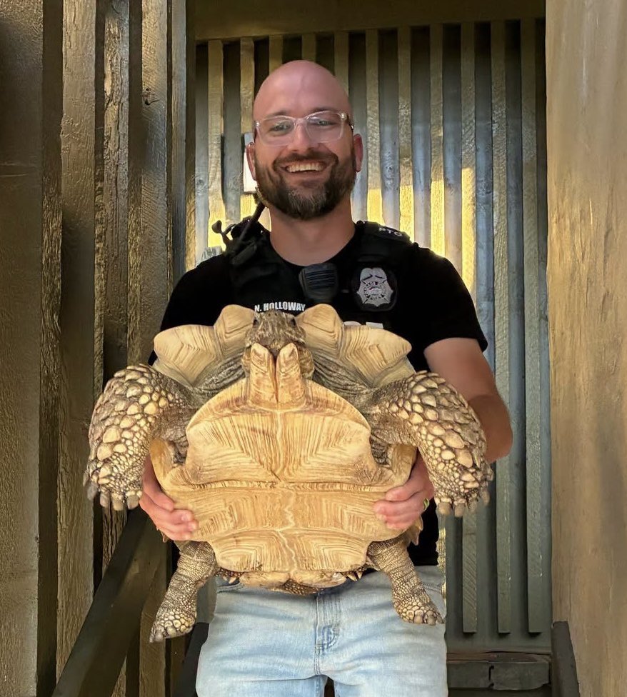 mpetkash's tweet photo. Great job by CSPD and all the tipsters that helped find #Howard the #tortoise after he was #turtlenapped. The suspect is in custody. https://t.co/CREcDH9h65
