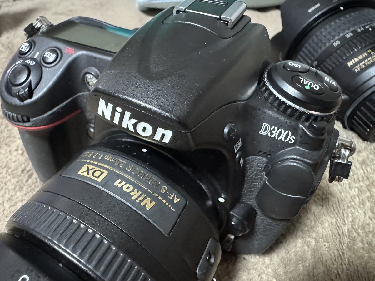 Azucat3939's tweet photo. しれっと購入しましたNikon D300Sです。
シャッター音が…シャッター音がめちゃくちゃいいです、最高です。 https://t.co/enyUB6UQ3Z