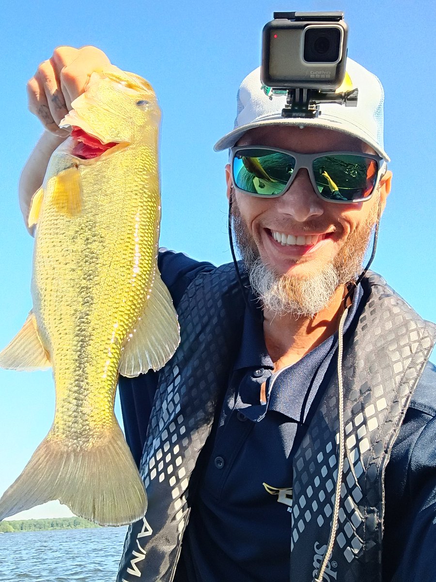 GuywithaGoProFS's tweet photo. Only #bite all morning. Nice #postspawn female off a #laydown tree on the @BerkleyFishing #slobberknocker in blue back #herring. @ZOOMBaitCompany fluke trailer. #fishing #bassfishing #postspawn https://t.co/AhavKdsDFT