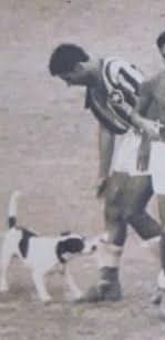 botafogabo's tweet photo. Biriba puxando o meião de Nilton Santos em 1948, após o título carioca. https://t.co/ncKi3tbLNs