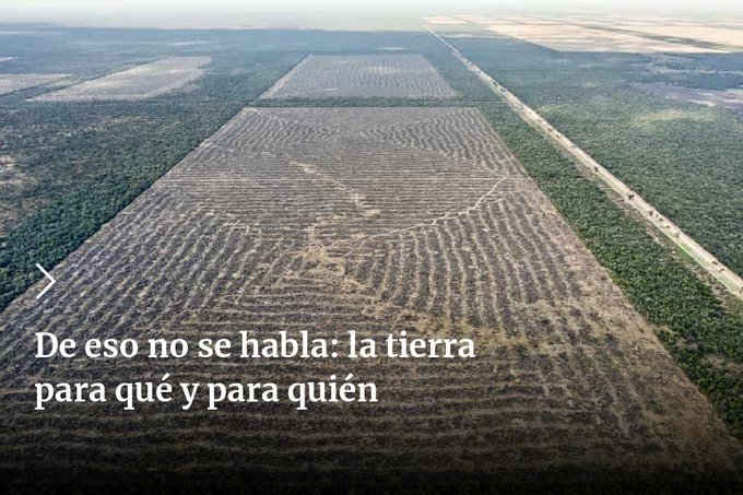 agroargentina's tweet photo. El proyecto de Ley de Inviolabilidad de la Propiedad Privada, impulsado por el Gobierno, parece responder a una amenaza inminente, pero la estructura #agroargentina evidencia otro intento de contrarreforma agraria.
>>
https://t.co/fnfIQaCcGQ https://t.co/08gJp8bG4Y