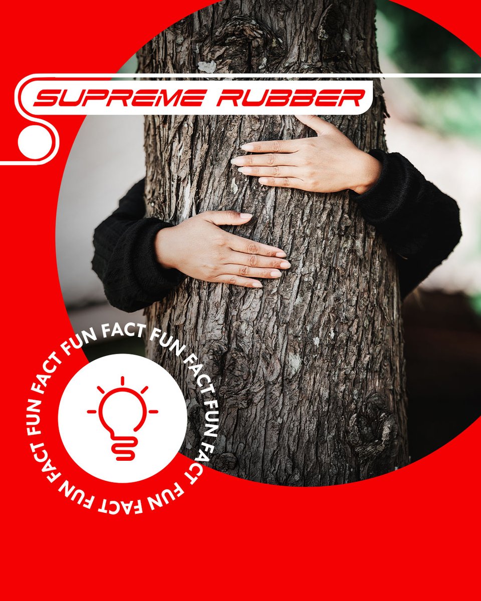 SupremeRubber's tweet photo. FUN FACT: The rubber tree uses its latex to heal itself, covering wounds in its bark to stop it from bleeding.

For all your rubber manufacturing needs, contact us:
✉️ sales@supremerubber.co.za
📞 +27 11 825 7952
🌐 https://t.co/xNp11SH6No https://t.co/gVwJyH6VFV