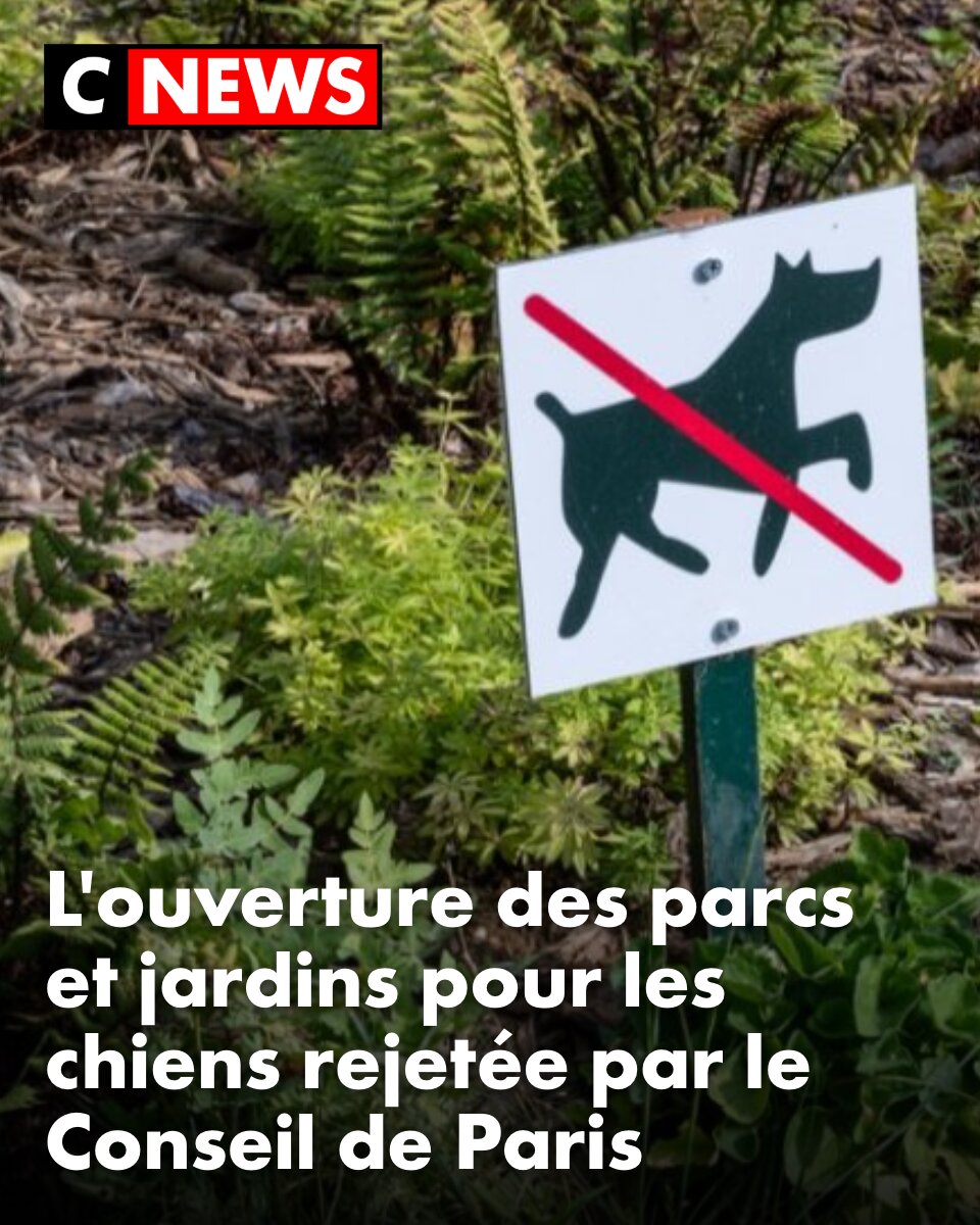 CNEWS's tweet photo. «Ils ont été plus rapides à ouvrir la baignade dans le canal Saint-Martin», déplore une Conseillère de Paris https://t.co/q4Ehs50Oa6