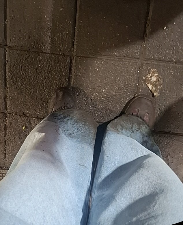 chaly_15's tweet photo. Si me dieran una moneda por cada vez que ESTOS TENIS Y ESTOS JEANS terminan hechos mierda por andar de aferrada, tendría 2 monedas.
No es mucho pero es gracioso que haya pasado 2 veces https://t.co/poHX6epXsI