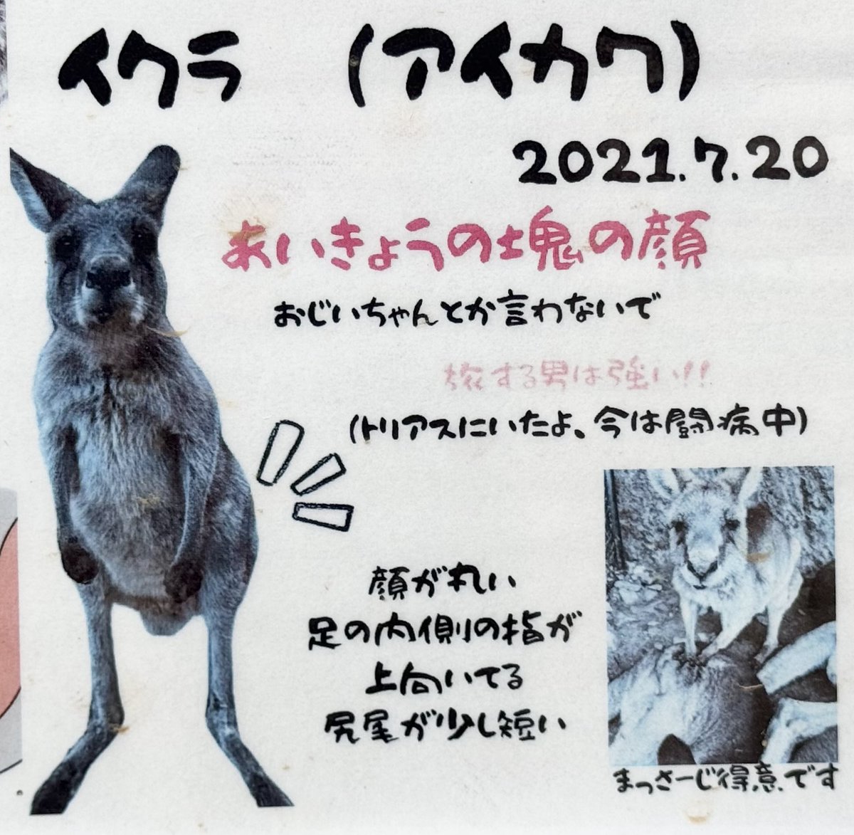 otter_Rascal tweet picture