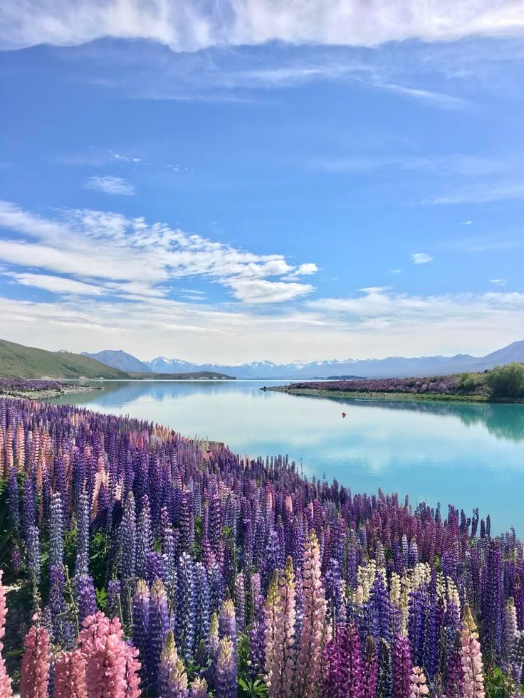 beautyexplorer0's tweet photo. New Zealand ✨ https://t.co/mh53Jv1tZy
