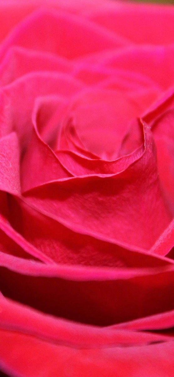 flvaldo's tweet photo. 🌸 😚 💋 Your future self is asking you to online attention rewards clear opinions, and protect your best hours. https://t.co/qhVjy8p0F8