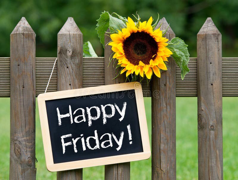 ctyank24's tweet photo. @EnglandAus Happy Friday England ☀️ Hope it’s the start of a great weekend full of fun! 💛 https://t.co/7S8PdnuFkU