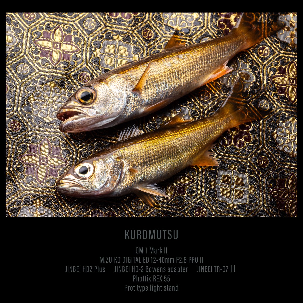 フォトフラッシュ Flash Lighting: Elevating Your Catch to Legendary Beauty