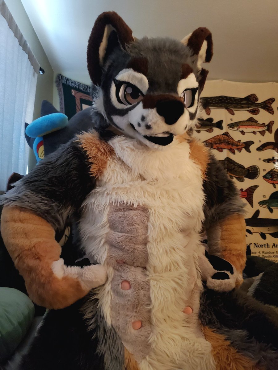 Ginkgo_Elk's tweet photo. It's her first #FursuitFriday, come say hi! She wont bite... hard! https://t.co/tfXc1qvKpO