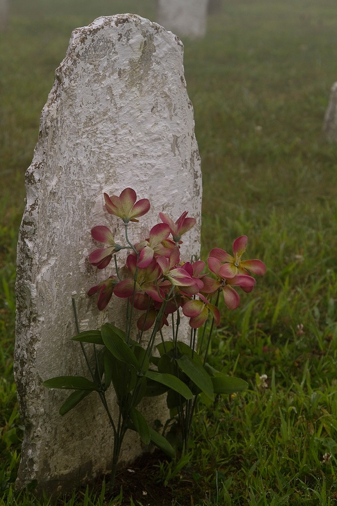 cloud_mein's tweet photo. @BrianRoemmele One of mine lays here https://t.co/sTCw5hyDsm