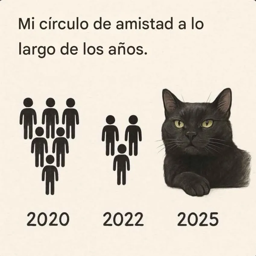 Enséñame de Ciencia tweet media