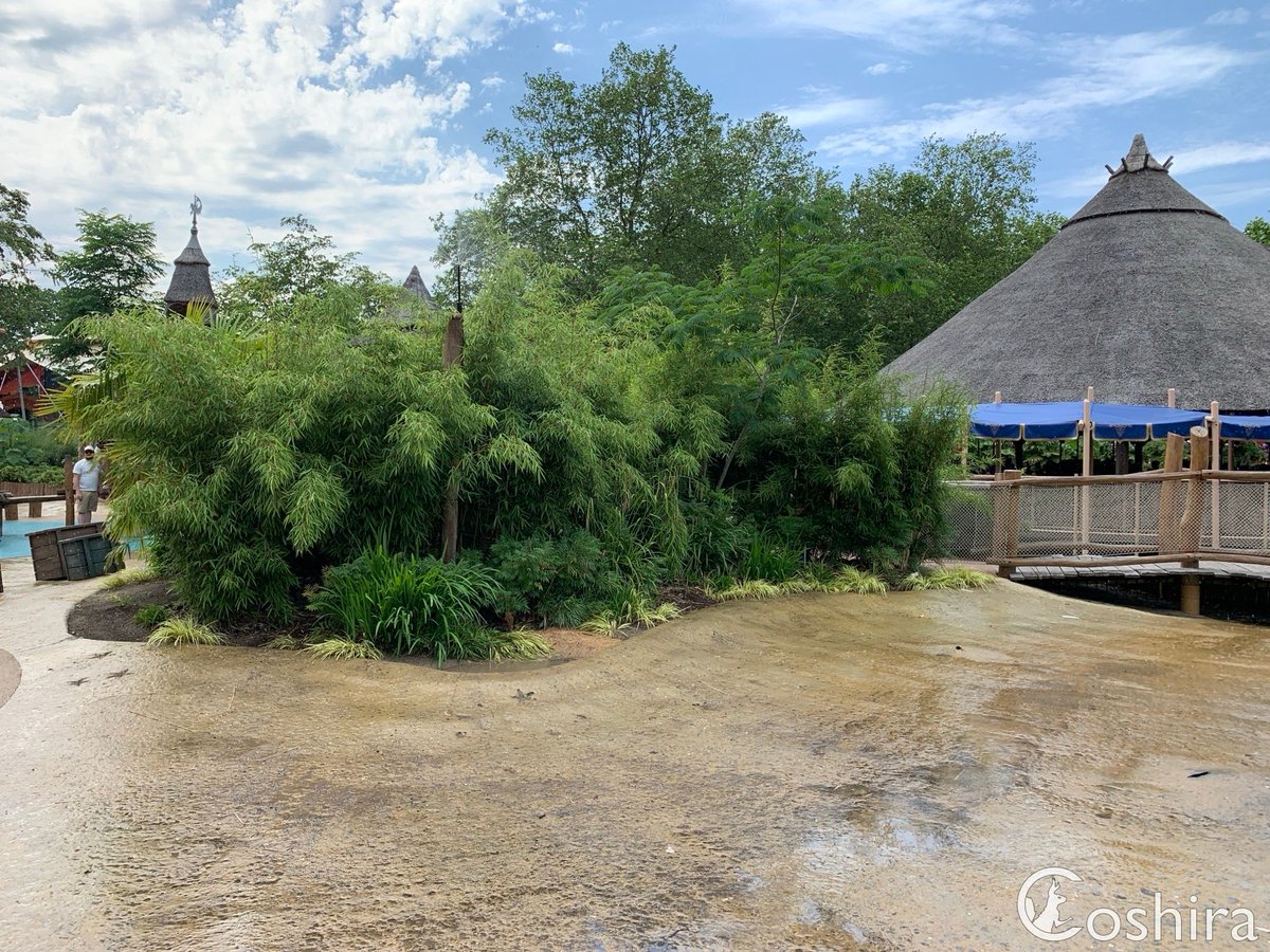 Coshira_'s tweet photo. De sproeiers voor de planten staan aan bij #Archipel voor wat extra verkoeling. 
#Efteling https://t.co/jZErbhEo1k