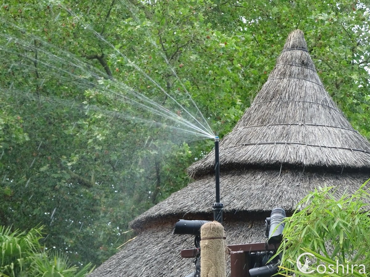 Coshira_'s tweet photo. De sproeiers voor de planten staan aan bij #Archipel voor wat extra verkoeling. 
#Efteling https://t.co/jZErbhEo1k