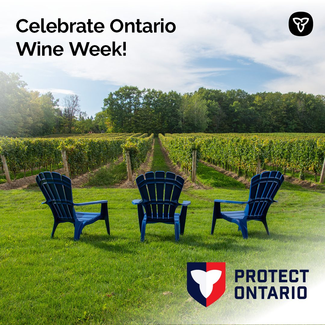 A photo of three blue Muskoka chairs sitting in front of a vineyard. The words celebrate Ontario Wine Week are in the top left corner. The Ontario trillium logo is in the top right corner.
The Protect Ontario logo is in the bottom right corner.