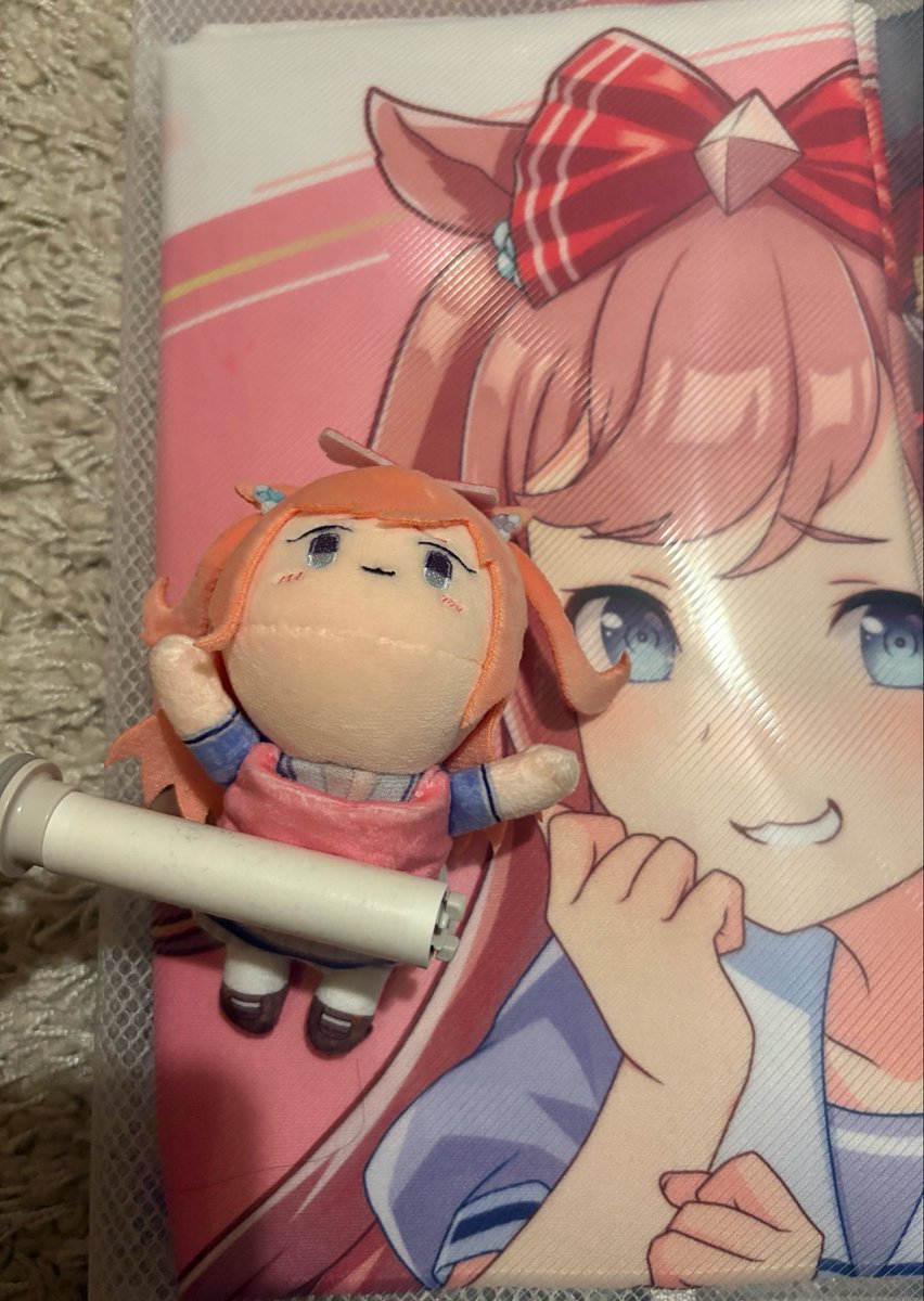 Tsuntsukutsun23's tweet photo. 連れていくデジぬいちゃんにコロコロをかけてあげます。
デジぬいちゃんの身だしなみも大事🎀✨️ https://t.co/Ugziqotahh