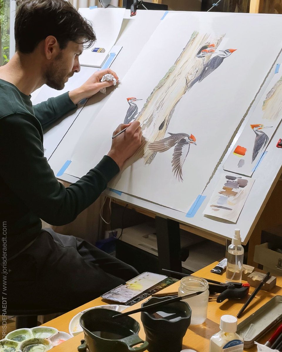 Artify_yourself's tweet photo. From Field to Studio: An Artist Spotlight on Joris De Raedt
Artist: @jorisderaedt (IG)
https://t.co/5vVX2qNlAW
#wildanimal #animal #artist #animalpainting #bird #art #fineart #artwork #artpiece #watercolor #illustration #tradionalart #detail #artify #artsupplies #fineliner https://t.co/41wmwYQkus