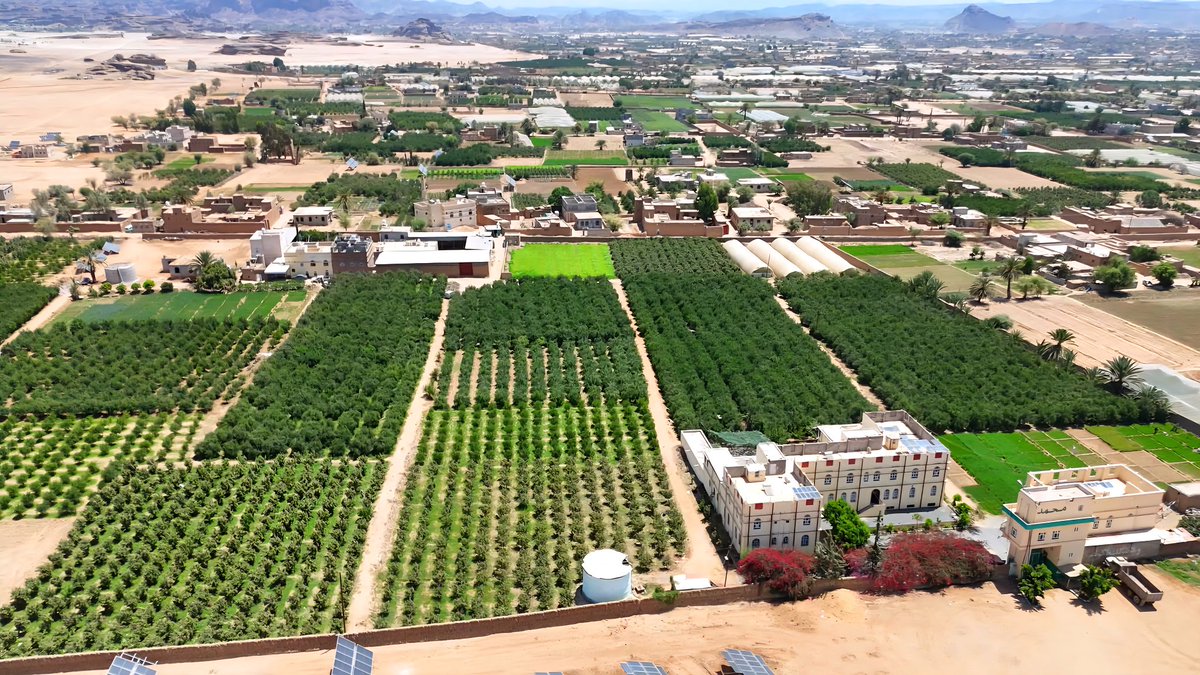 Yemenieconomy's tweet photo. صورة من جمال الطبيعة الخلابه التي رسمتها الحقول الزراعي في منطقة الحمزات بمحافظة صعدة شمال اليمن.

جمعة مباركة https://t.co/ZL8QeS3nDJ