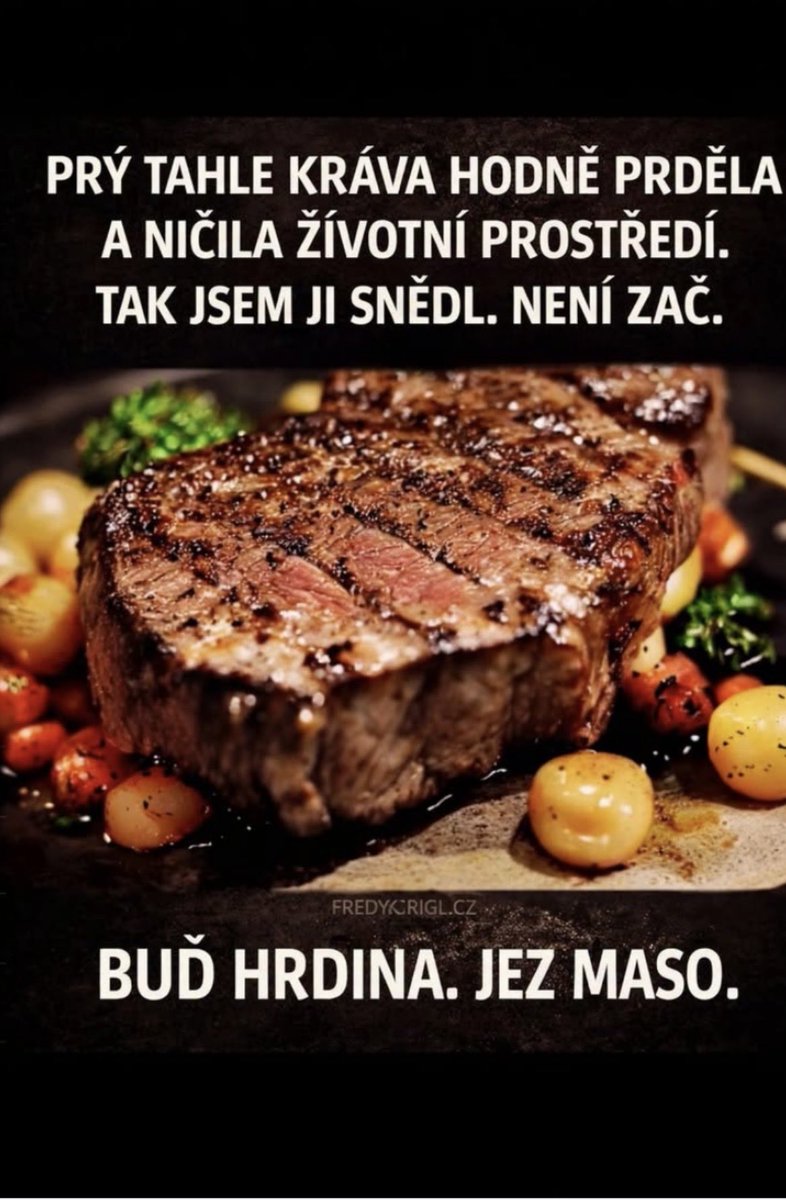 MichalecRadek's tweet photo. Buď hrdina. Jez maso. 💪🥩🥩 https://t.co/zCqf5vZZCX