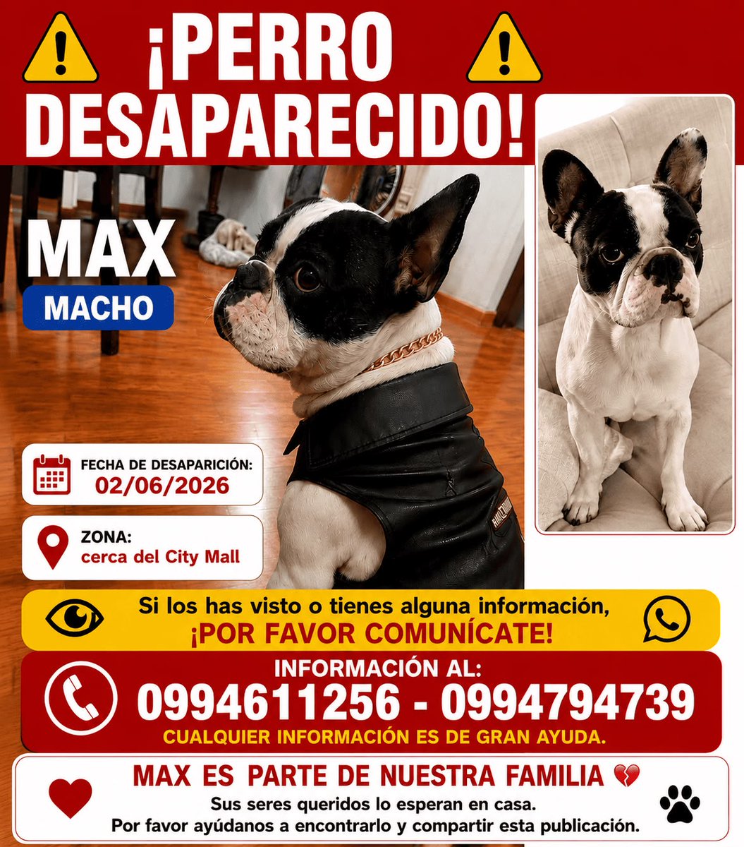 AlertaMePerdi's tweet photo. #ACTUALIZACION #PERDIDO #GUAYAQUIL
Nombre: #MAX
Fecha: 2026-06-02
Sector: Norte,ALBORADA 4TA ETAPA CERCA DEL CITY MALL
Sexo: Macho
Raza: Bulldog Frances
Observación: blanco con negro
Contacto: 0994794739
¡Ayúdalo a volver con su familia!
#AlertaMePerdí https://t.co/17Lv3sVybS