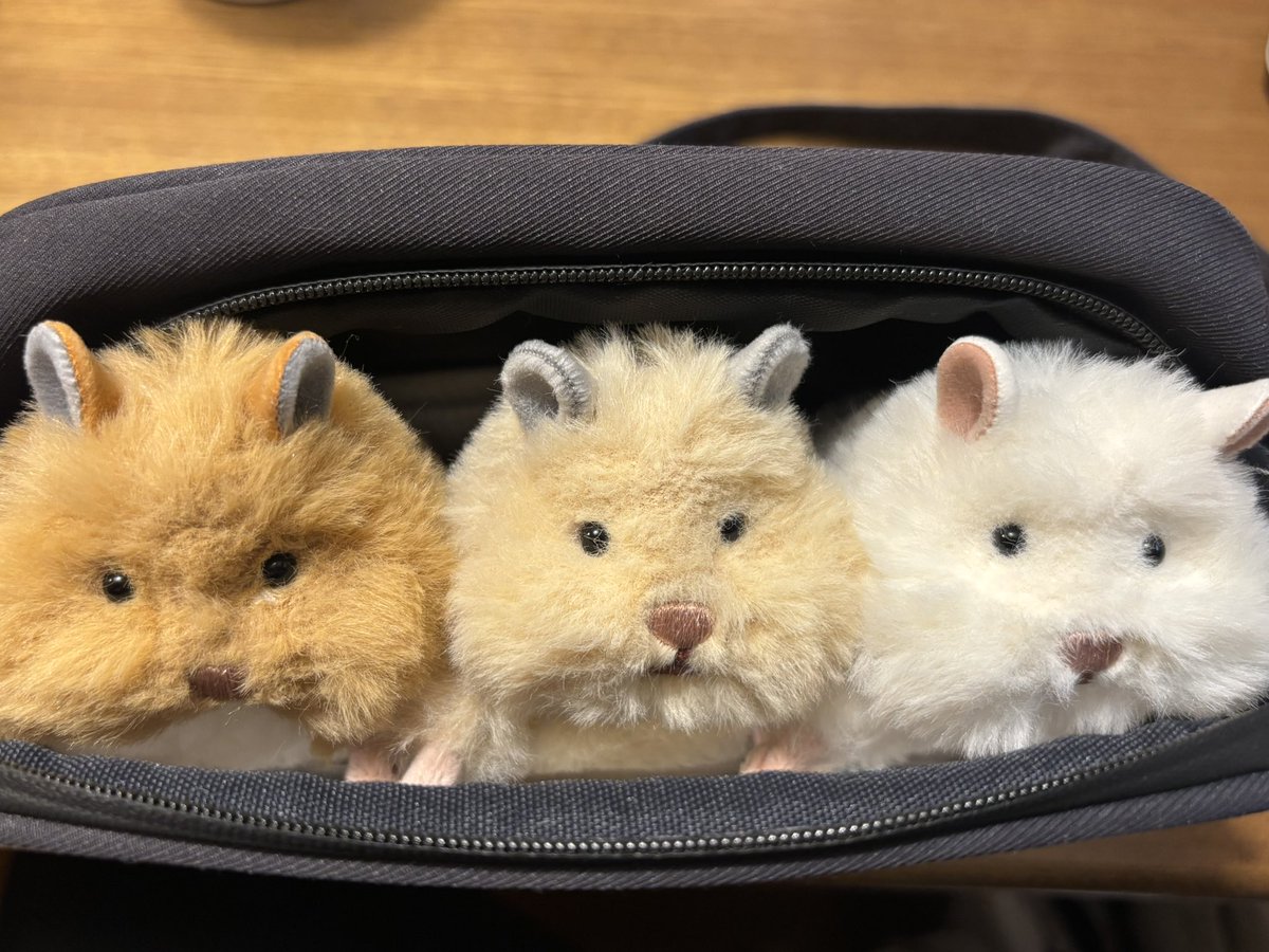 nahoyyy's tweet photo. もう増やしちゃダメだよねー
ポーチ、ぱんぱんだし

#はむにぎり https://t.co/nlSN9IHwOk