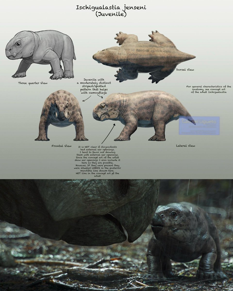 SerpenIllus's tweet photo. Episode 2 of Surviving Earth premiered last night on NBC and is now available on Peacock! This episode deals with the consequences of the Carnian Pluvial event! Here I can show you the concept art of Panphagia and the baby Ischigualastia (the latter you’ve already seen) https://t.co/ZJVUBt6wUQ