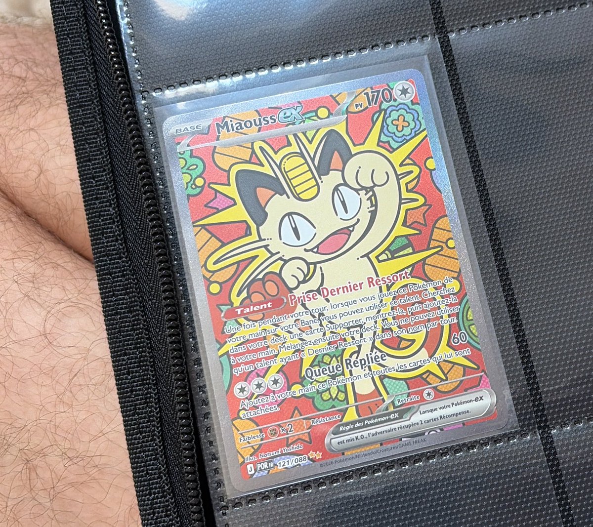 Flo7xeyj's tweet photo. Récolte du jour 😍😍😍  #pokemon #tcg #equilibreparfait https://t.co/NSuEXFPU0O