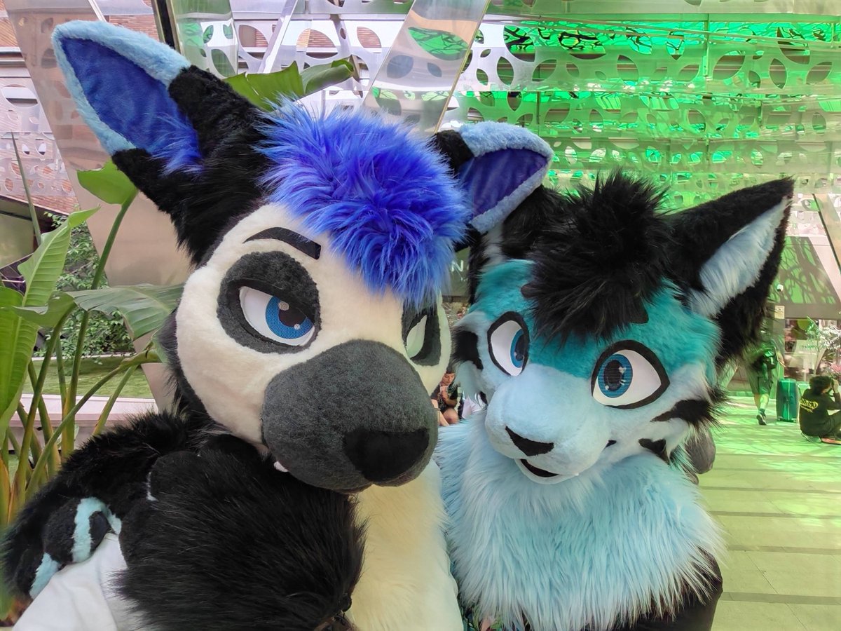 Heartglow_Roo's tweet photo. A sassy look is all i can give, no way to change that 😏
With @zheanel_es 

Both heads made by @beastmaws 🧵
#FursuitFriday https://t.co/mNN1sxe6XJ