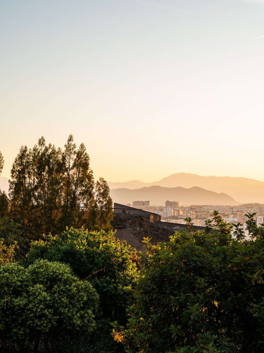 turismodemalaga's tweet photo. Hoy celebramos el Día Mundial del Paseo con estas imágenes al atardecer, una invitación a recorrer Málaga con calma. https://t.co/jFD2viXqWr