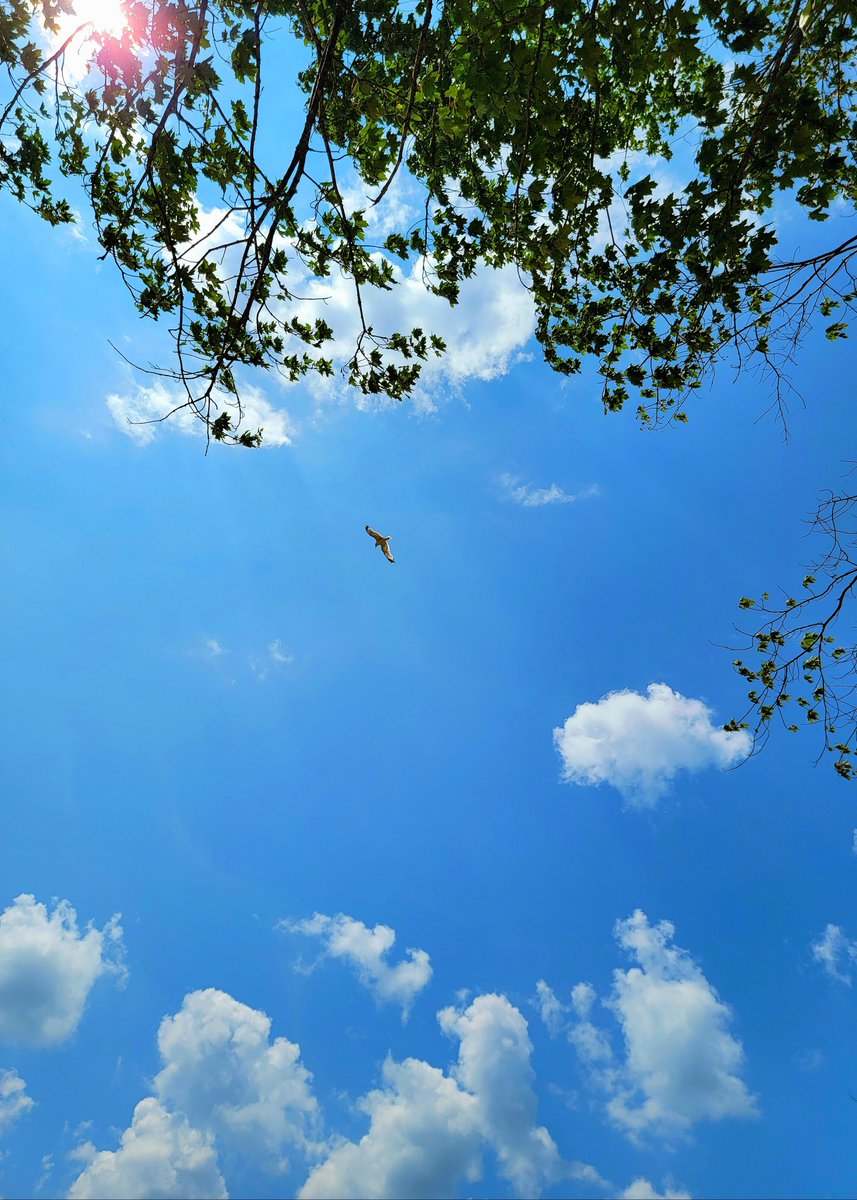 darrellnotdaryl's tweet photo. In the wind https://t.co/UmMTzixSNY