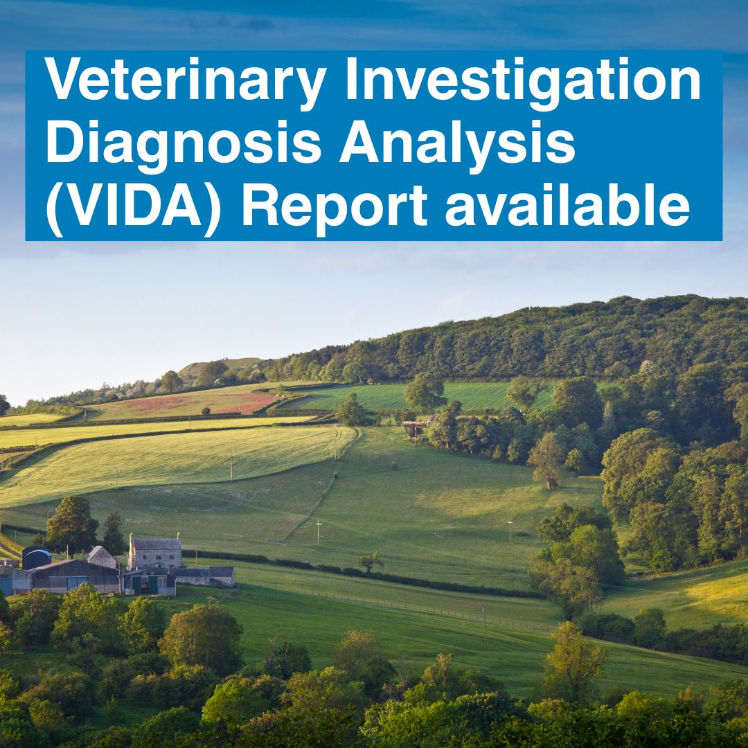 APHAgovuk's tweet photo. The Veterinary Investigation Diagnosis Analysis (VIDA) Report for 2025 is now available. The data are presented in an interactive dashboard, showing every diagnostic submission to the Great Britain Scanning Surveillance Network.

https://t.co/SeTQx2dgaD https://t.co/DxJM9P1VlL