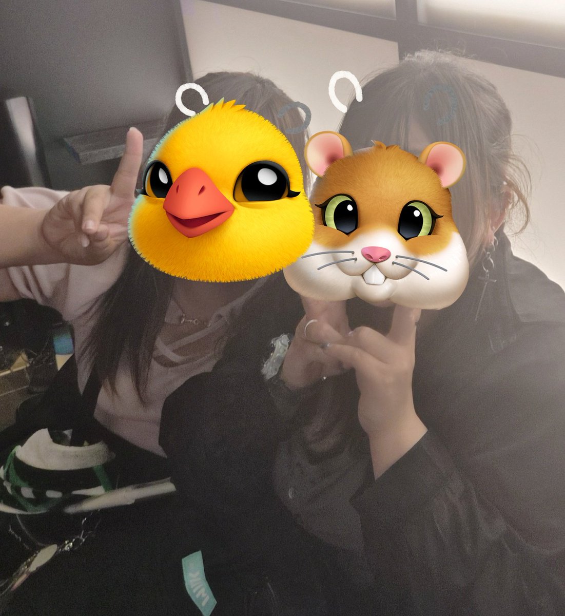 renasuke_kedama's tweet photo. ざわさんをトリミングすることにより女子会の気分な写真になる。

ﾑｯ(*`ω´*)💦 https://t.co/DdCDRqVdxJ