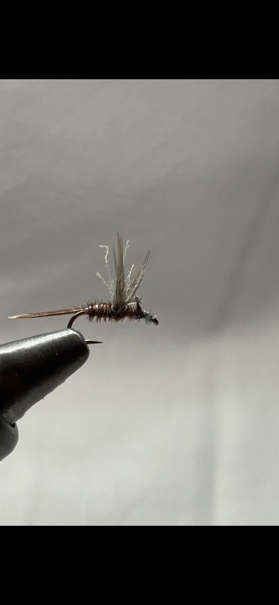 zoneimpactfly's tweet photo. Moorhenネックを混ぜてみた。

ヤマトコカゲロウらしい雰囲気がかなり出た気がする。

フロート剤を入れると黒いウイングが逆光で見える。

魚に見せるためというより、まず自分が見失わないための工夫。

#フライタイイング
#フライフィッシング
#ヤマトコカゲロウ https://t.co/9L5Slf3VVR