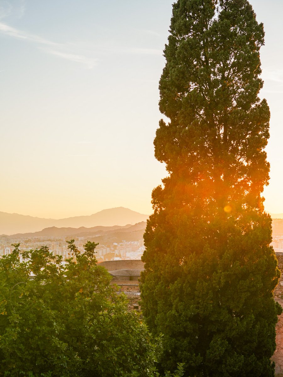 turismodemalaga's tweet photo. Hoy celebramos el Día Mundial del Paseo con estas imágenes al atardecer, una invitación a recorrer Málaga con calma. https://t.co/jFD2viXqWr